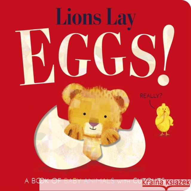 Lions Lay Eggs! Becky Davies 9781838918378 Little Tiger Press Group