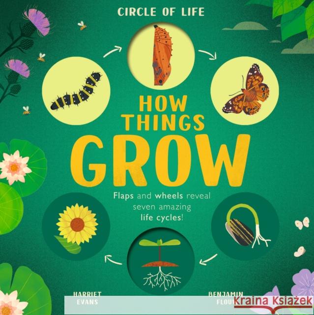 How Things Grow Harriet Evans 9781838919443