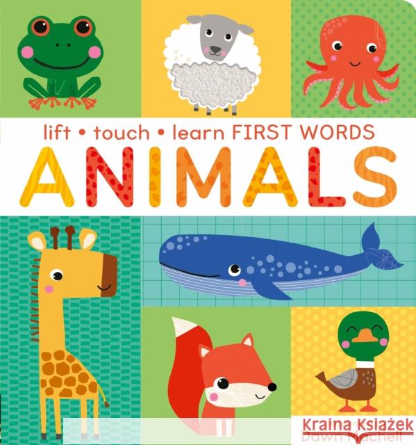 Lift, Touch Learn First Words: Animals Villetta Craven 9781838919818 Little Tiger Press Group