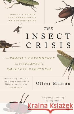 The Insect Crisis: Our Fragile Dependence on the Planet's Smallest Creatures Oliver Milman 9781838951191