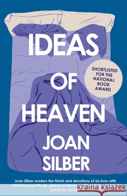 Ideas of Heaven Joan Silber 9781838956639 Atlantic Books