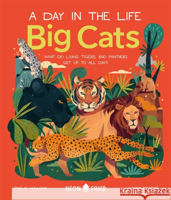 Big Cats (A Day in the Life): What Do Lions, Tigers and Panthers Get up to all day? SQUID  NEON 9781838991548