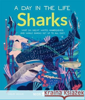Sharks (A Day in the Life): What Do Great Whites, Hammerheads, and Whale Sharks Get Up To All Day? Jackson 9781838992064