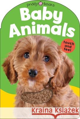 Baby Animals Roger Priddy 9781838992941 Priddy Books