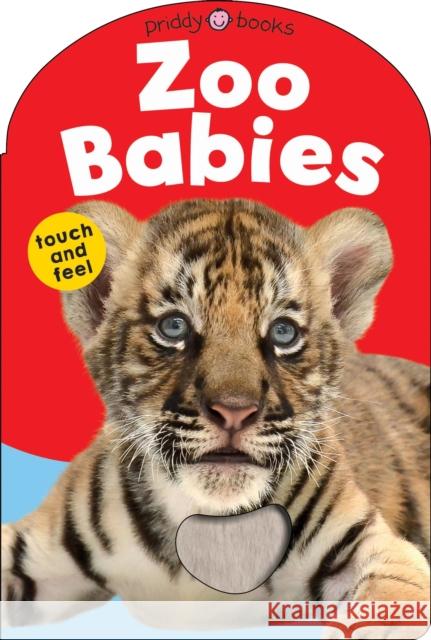 Zoo Babies Roger Priddy 9781838992958 Priddy Books