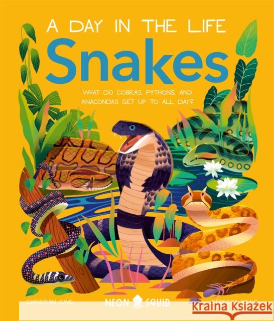 Snakes (A Day in the Life): What Do Cobras, Pythons, and Anacondas Get Up to All Day? Neon Squid 9781838993269