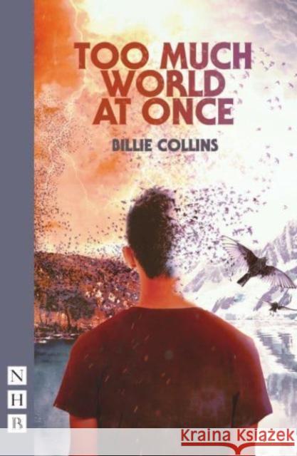 Too Much World at Once Billie Collins 9781839041358 Nick Hern Books