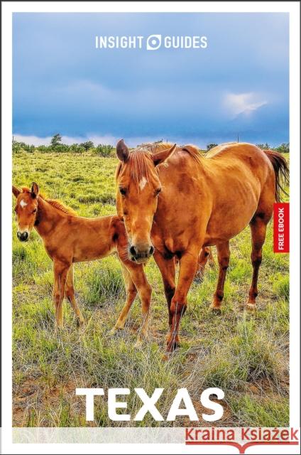 Insight Guides Texas: Travel Guide with eBook Rashmi Narayan 9781839053801 APA Publications