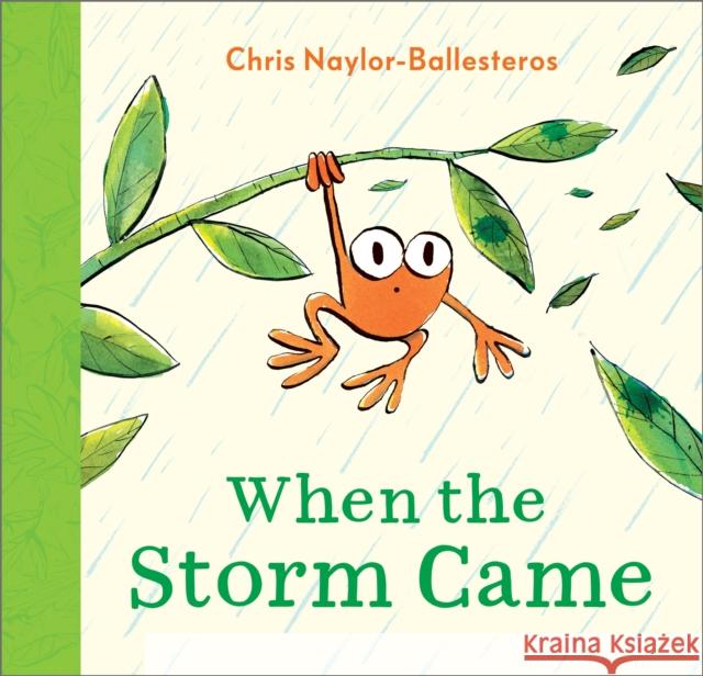 When the Storm Came Chris Naylor-Ballesteros 9781839132582