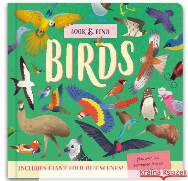 Look & Find: Insects and Minibeasts Laura Chamberlain 9781839237089