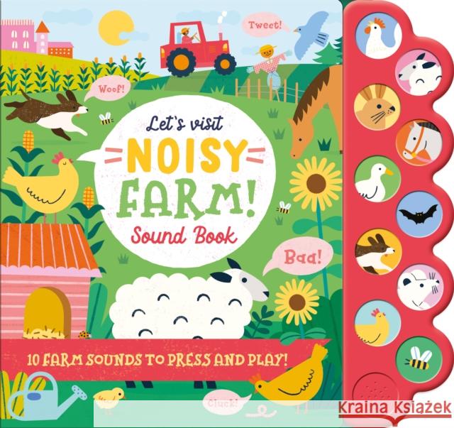 Let'S Visit Noisy Farm! Laura Chamberlain 9781839238727