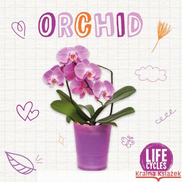 Orchid Brenda McHale 9781839271588 BookLife Publishing