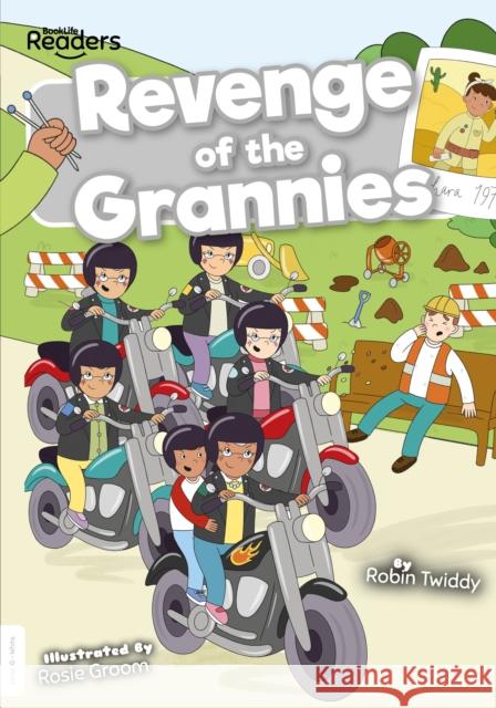 Revenge of the Grannies Robin Twiddy 9781839274381