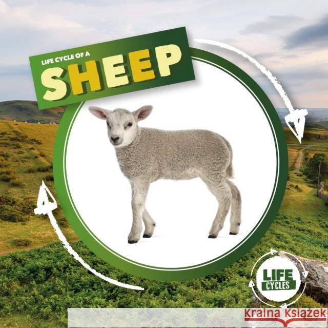 Life Cycle of a Sheep Kirsty Holmes, Lydia Williams 9781839274756 BookLife Publishing