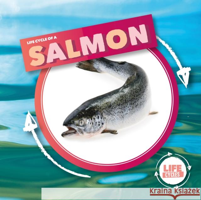 Life Cycle Of A Salmon Kirsty Holmes, Gareth Liddington 9781839274787 BookLife Publishing