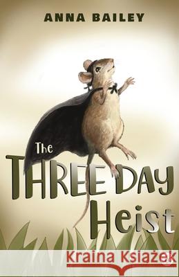 The Three Day Heist Anna Bailey 9781839340406 Olympia Publishers