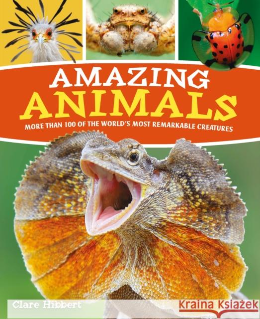 Amazing Animals: More than 100 of the World's Most Remarkable Creatures Claire Hibbert 9781839402807