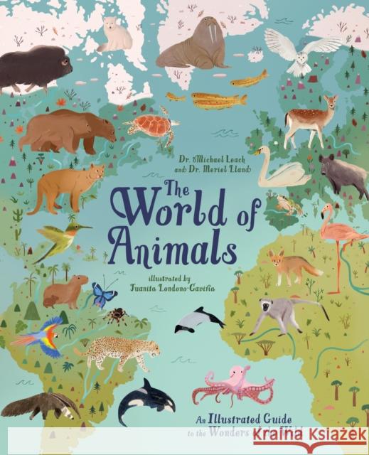 The World of Animals: An Illustrated Guide to the Wonders of the Wild Dr Meriel Lland 9781839408601