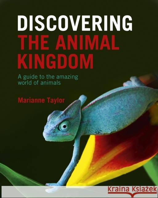 Discovering The Animal Kingdom: A guide to the amazing world of animals Marianne Taylor 9781839408670 Arcturus Publishing Ltd