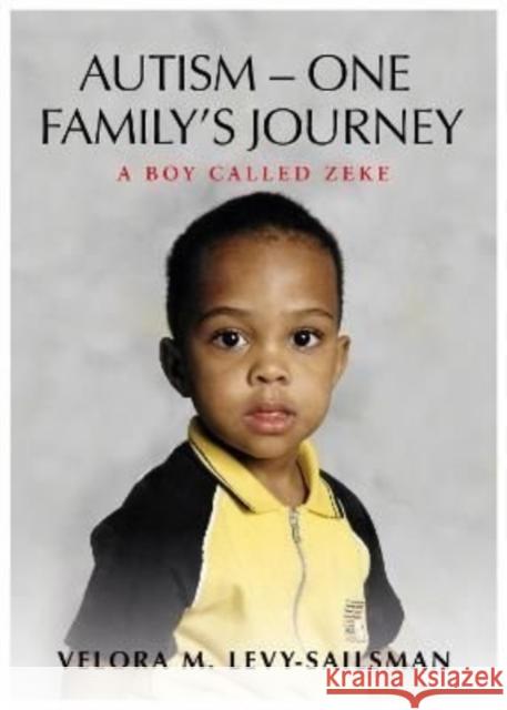 AUTISM - ONE FAMILY'S JOURNEY: A Boy Called Zeke Velora M Levy - Sailsman 9781839524462 Brown Dog Books