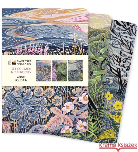 Annie Soudain Set of 3 Midi Notebooks  9781839647598 Flame Tree Publishing