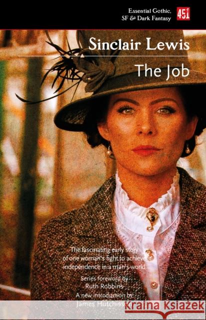 The Job Sinclair Lewis James M 9781839648809 Flame Tree Publishing