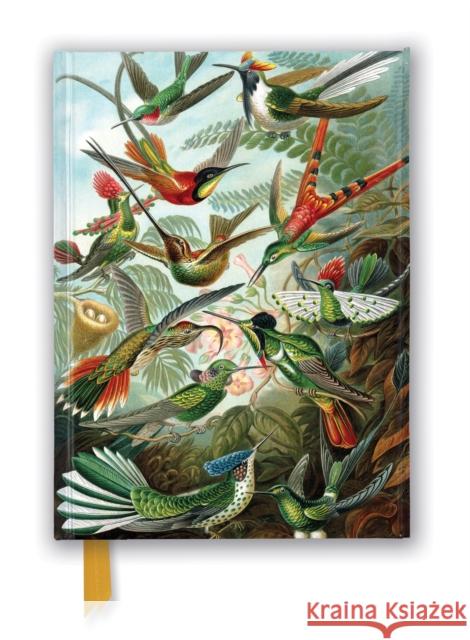 Ernst Haeckel: Hummingbirds (Foiled Journal) Flame Tree Studio 9781839648953 Flame Tree Publishing