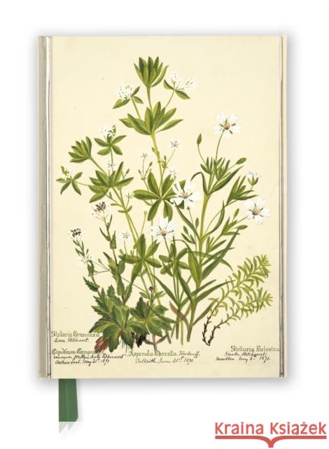 RBGE: Charlotte Cowan Pearson: Stitchworts, Woodruff and Pepperwort (Foiled Journal)  9781839648960 Flame Tree Publishing