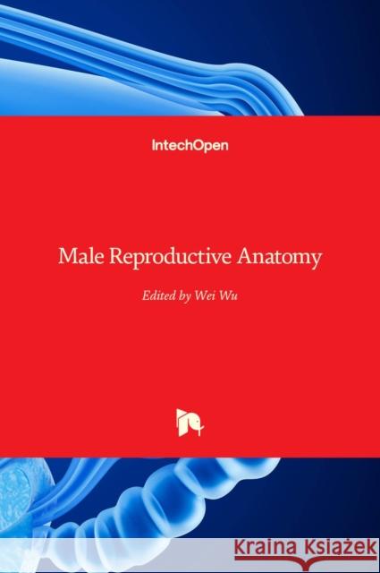 Male Reproductive Anatomy Wei Wu 9781839685248 Intechopen