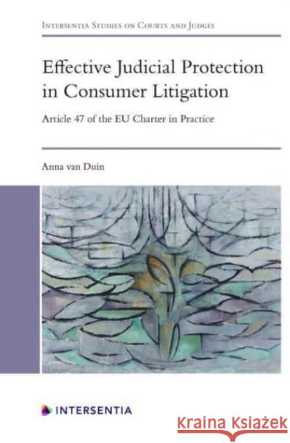 Effective Judicial Protection in Consumer Litigation: Article 47 of the Eu Charter in Practice Van Duin, Anna 9781839701948 Intersentia Ltd