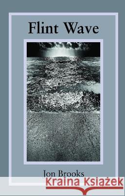 Flint Wave Jon Brooks, Moya Burns 9781839754838 Grosvenor House Publishing Ltd