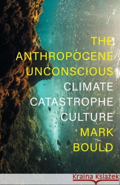 The Anthropocene Unconscious: Climate Catastrophe Culture Mark Bould 9781839760471 Verso Books