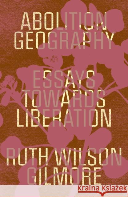 Abolition Geography: Essays Towards Liberation Ruth Wilson Gilmore Brenna Bhandar Alberto Toscano 9781839761706 Verso Books