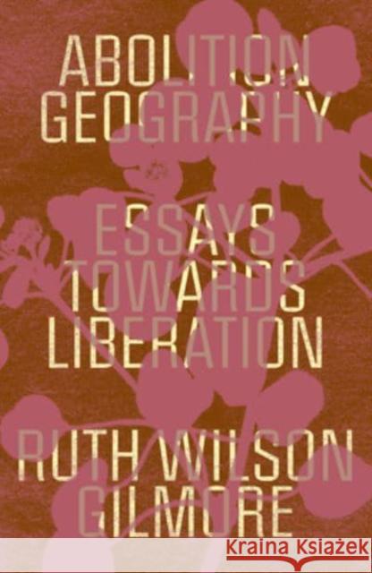 Abolition Geography: Essays Towards Liberation Ruth Wilson Gilmore Brenna Bandar Alberto Toscano 9781839761713