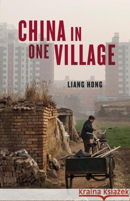China in One Village: The Story of One Town and the Changing World Liang Hong 9781839761775