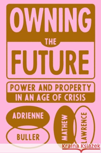 Owning the Future: Power and Property in an Age of Crisis Adrienne Buller Mathew Lawrence  9781839765803 Verso Books