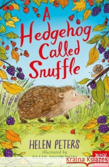 A Hedgehog Called Snuffle Helen Peters 9781839945052