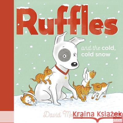 Ruffles and the Cold, Cold Snow David Melling 9781839945977