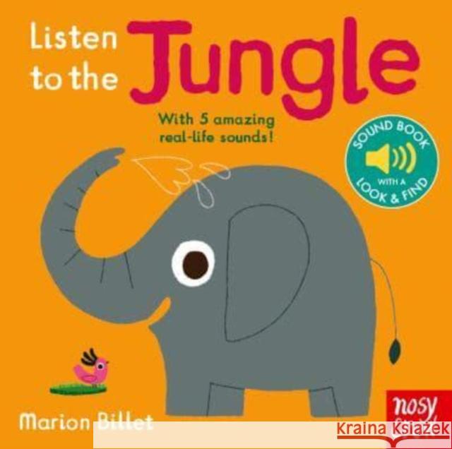 Listen to the Jungle Marion Billet Nosy Crow  9781839947322 Nosy Crow Ltd