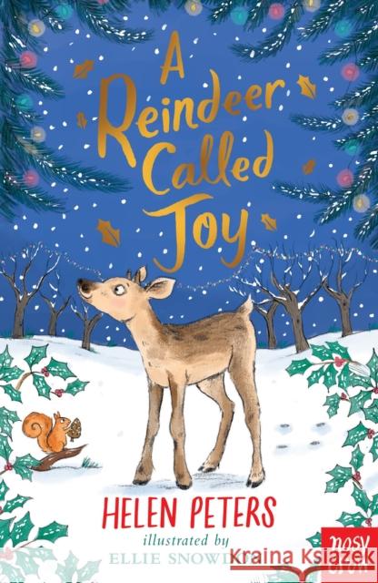 A Reindeer Called Joy Helen Peters 9781839948749 Nosy Crow Ltd