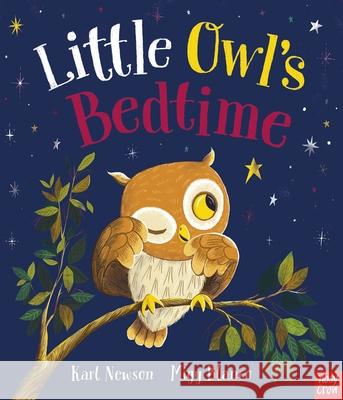 Little Owl's Bedtime Karl Newson 9781839948893 Nosy Crow Ltd