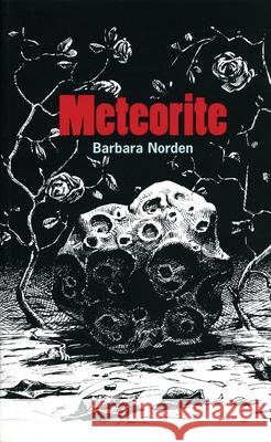 Meteorite Barbara Norden 9781840024012 OBERON BOOKS LTD