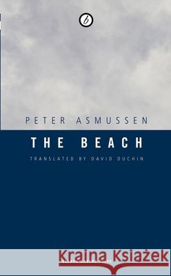 The Beach Peter Asmussen David Duchin 9781840026290 Oberon Books