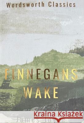 Finnegans Wake Joyce James 9781840226614