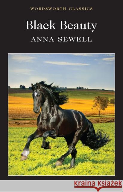 Black Beauty Sewell Anna 9781840227611 Wordsworth Editions Ltd