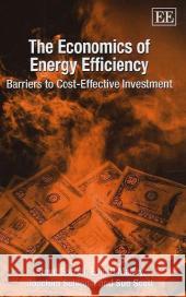 The Economics of Energy Efficiency: Barriers to Cost-Effective Investment Steve Sorrell, Eoin O’Malley, Joachim Schleich, Sue Scott 9781840648898 Edward Elgar Publishing Ltd