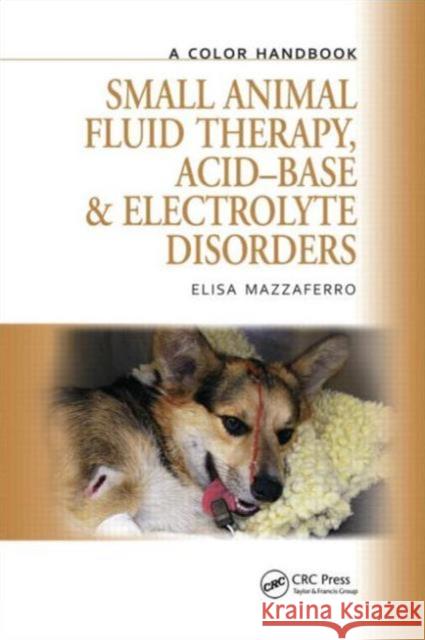 Small Animal Fluid Therapy, Acid-base and Electrolyte Disorders : A Color Handbook Elisa Mazzaferro 9781840761672 0