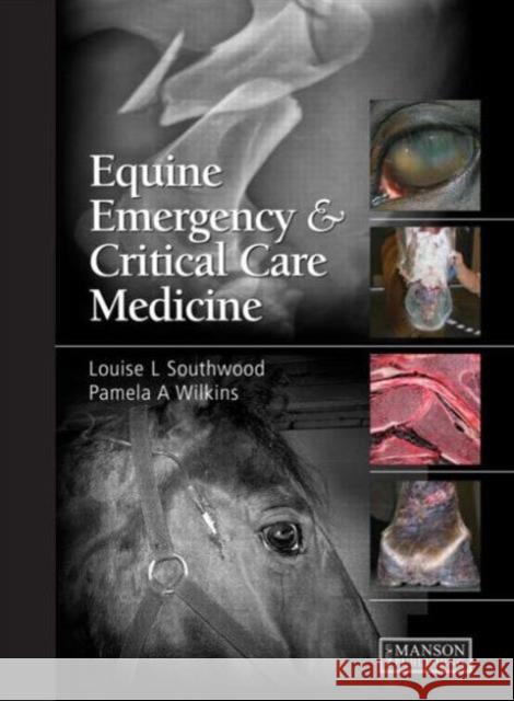 Equine Emergency and Critical Care Medicine Louise Southwood Pamela A. Wilkins 9781840761948 CRC Press