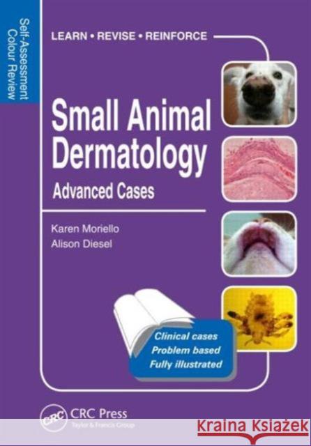 Small Animal Dermatology, Advanced Cases: Self-Assessment Color Review Moriello, Karen 9781840761979 Manson Publishing