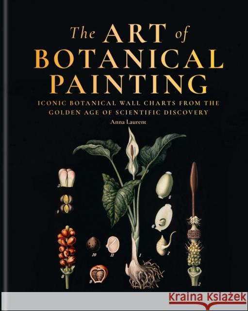 Art of Botanical Drawing: Iconic Botanical Wall Charts from the Golden Age of Scientific Discovery Anna Laurent 9781840918953 Ilex Press